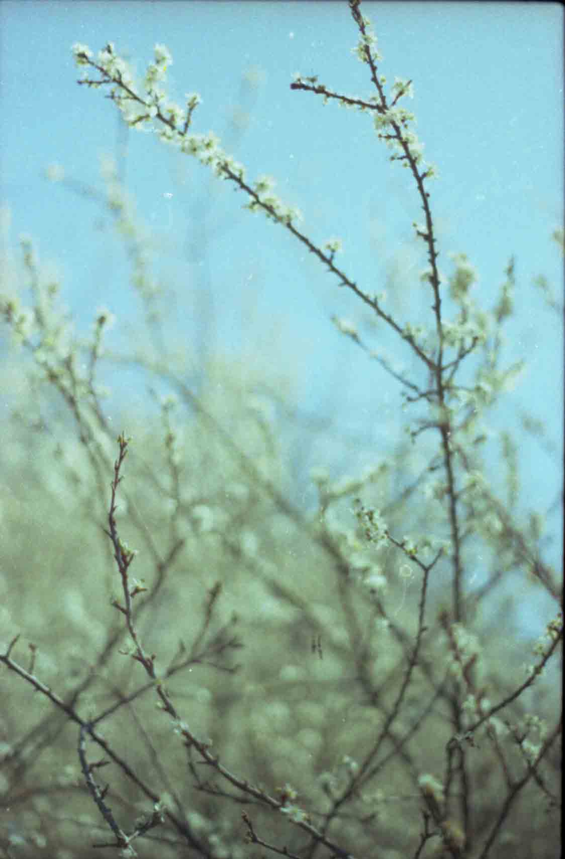 Gallery image 27