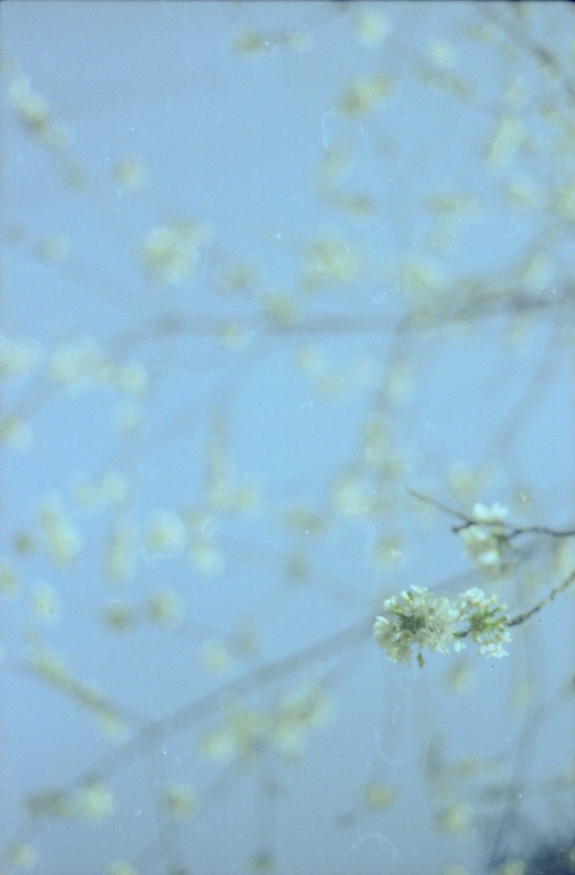 Gallery image 28