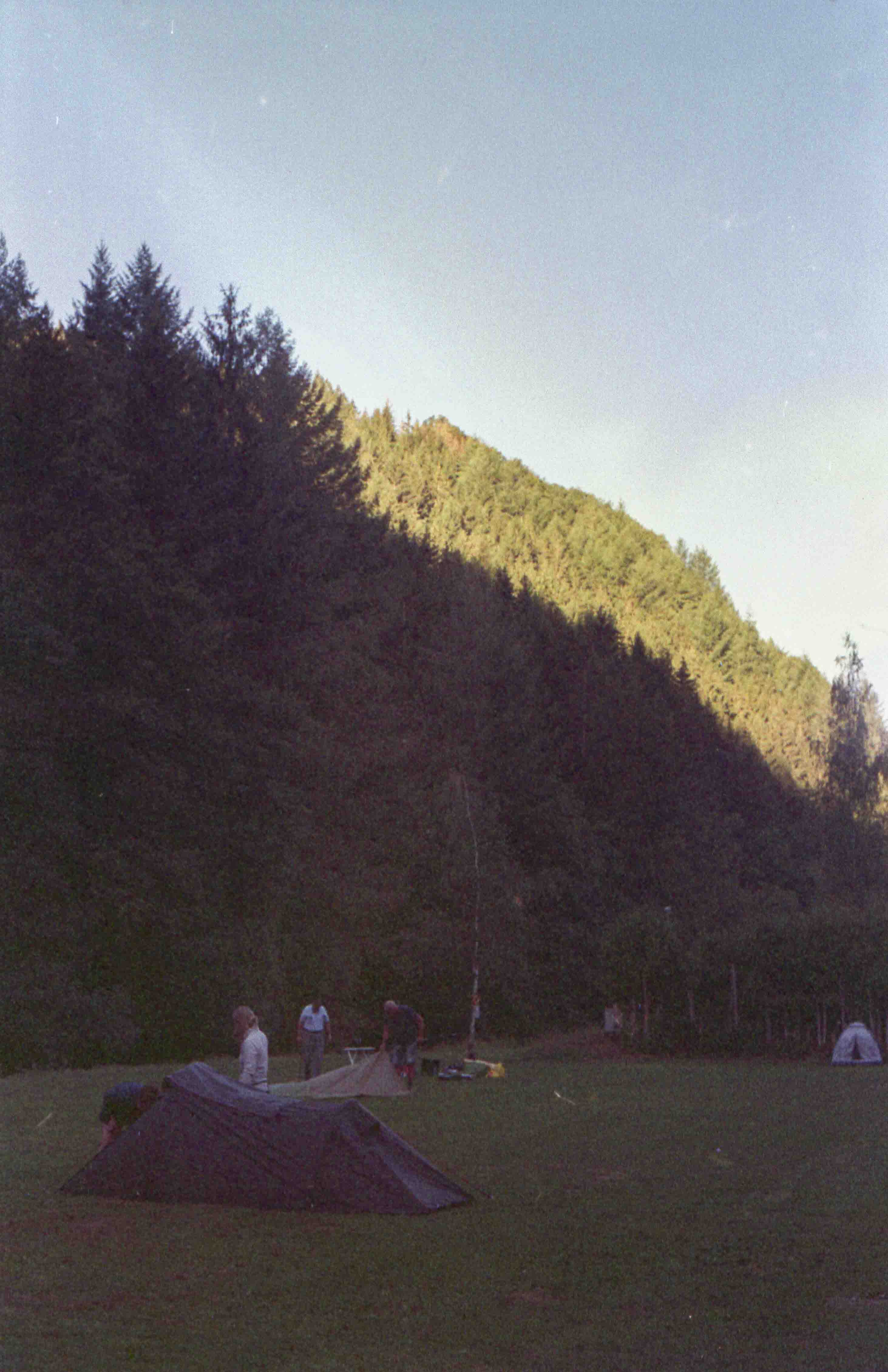 Gallery image 45